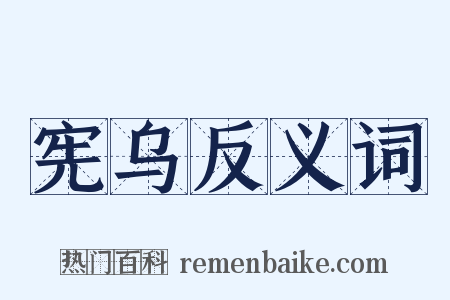 宪乌反义词是什么意思的图片